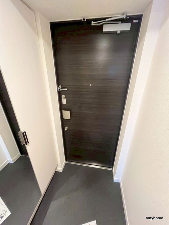 大阪府大阪市淀川区西三国2丁目(マンション)の賃貸物件の玄関