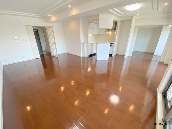 フェニックス日本橋高津の居間