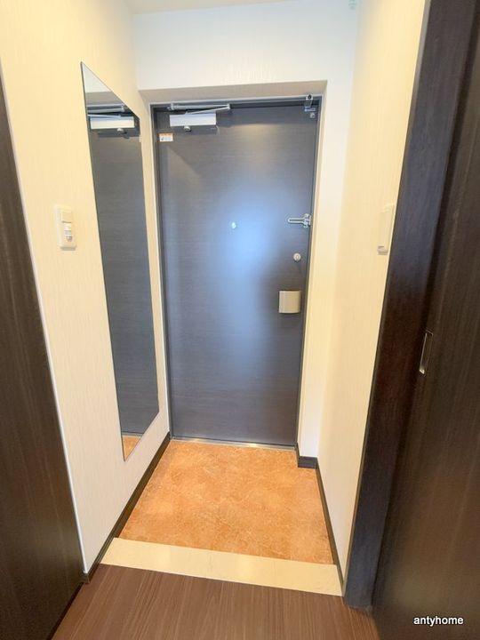 大阪府大阪市淀川区新高5丁目(マンション)の賃貸物件の玄関