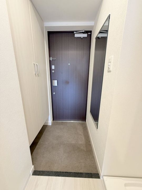 大阪府大阪市東淀川区上新庄3丁目(マンション)の賃貸物件の玄関