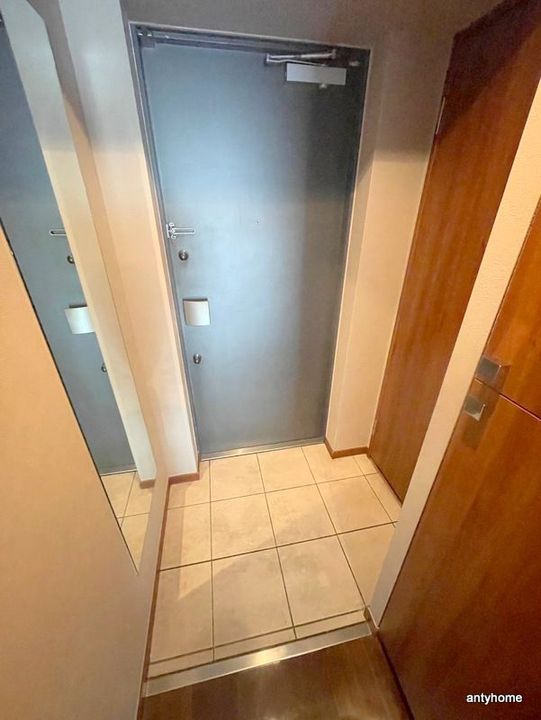 大阪府大阪市中央区高津2丁目(マンション)の賃貸物件の玄関