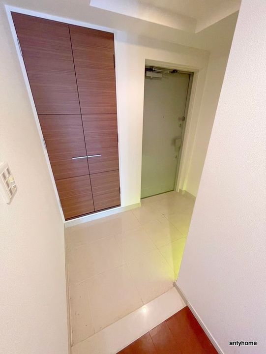 大阪府大阪市中央区日本橋2丁目(マンション)の賃貸物件の玄関