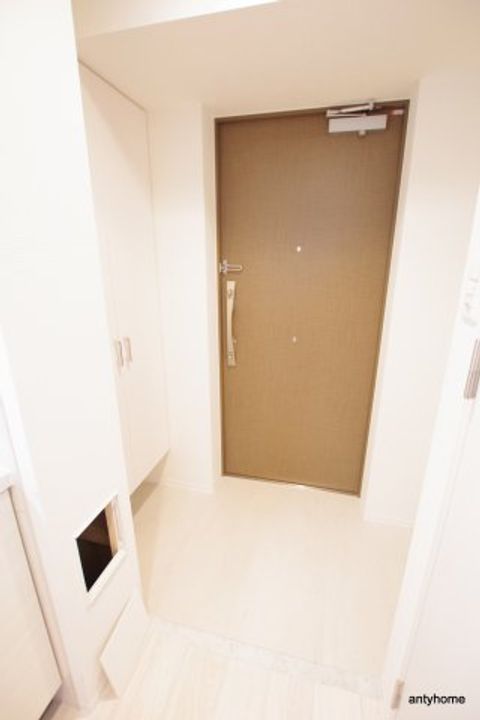 大阪府大阪市東成区玉津2丁目(マンション)の賃貸物件の玄関