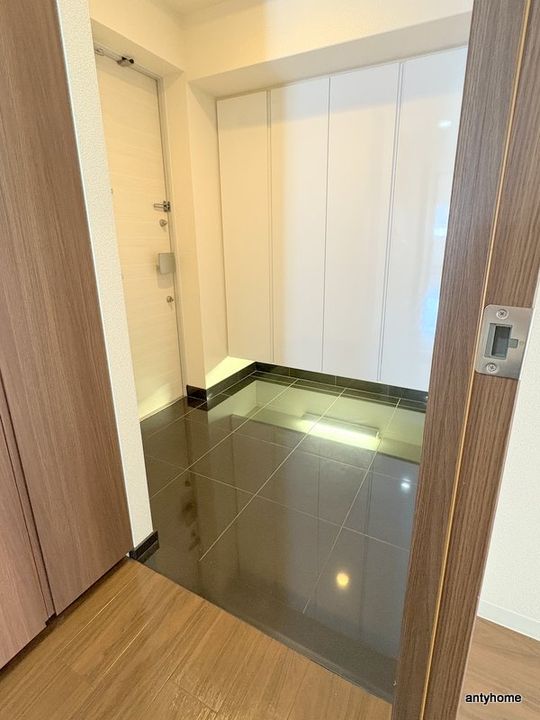大阪府大阪市浪速区稲荷2丁目(マンション)の賃貸物件の玄関