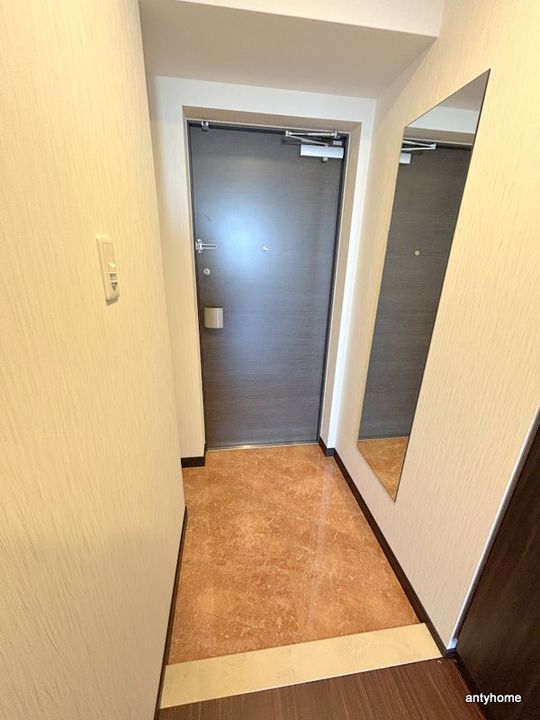 大阪府大阪市住吉区万代東3丁目(マンション)の賃貸物件の玄関