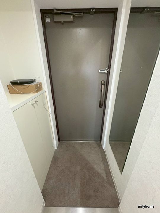 大阪府大阪市西区九条1丁目(マンション)の賃貸物件の玄関