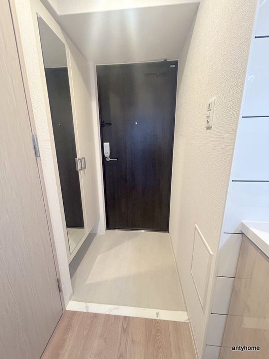 大阪府大阪市東淀川区東中島2丁目(マンション)の賃貸物件の玄関