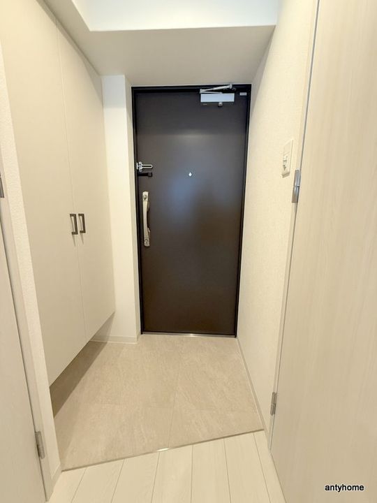 大阪府吹田市芳野町(マンション)の賃貸物件の玄関