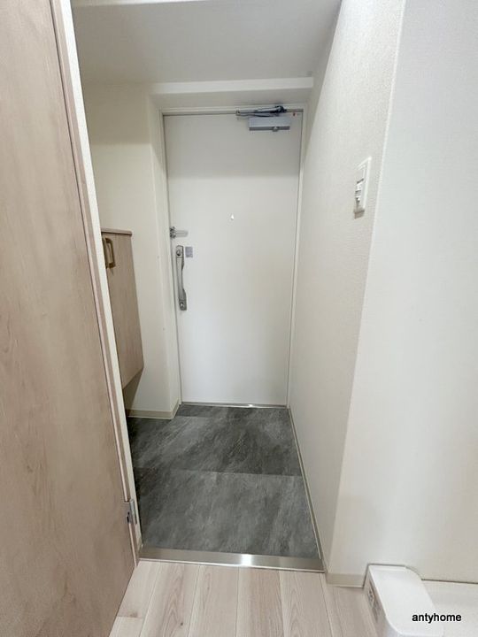 大阪府大阪市東成区大今里南5丁目(マンション)の賃貸物件の玄関