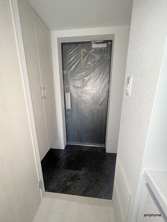 ソルテラスOSAKAJO ESTの玄関