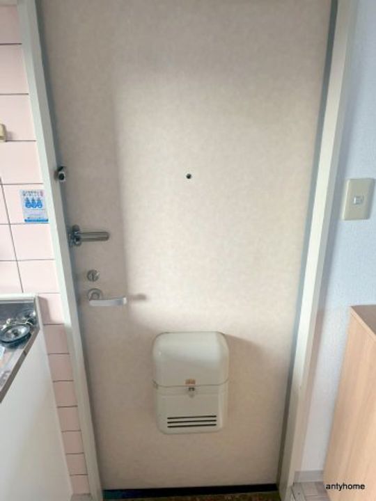 大阪府大阪市淀川区木川西3丁目(マンション)の賃貸物件の玄関