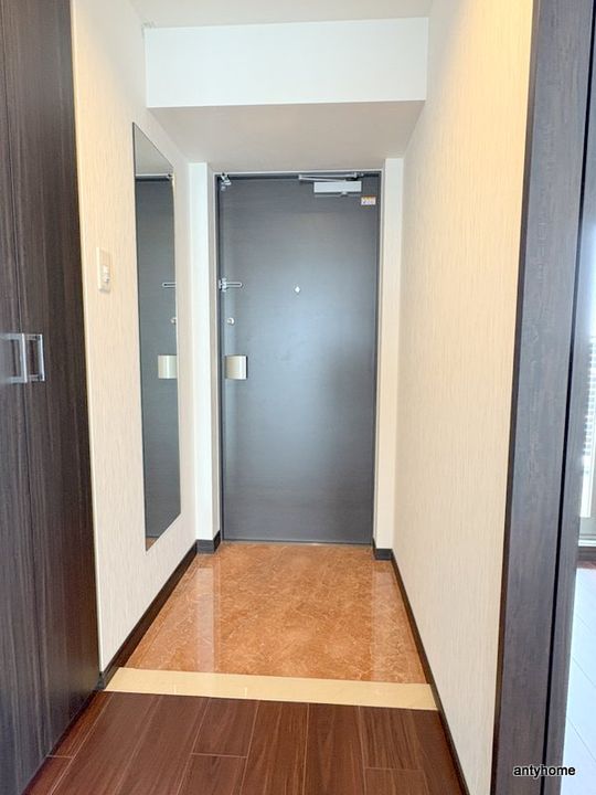 大阪府東大阪市高井田元町2丁目(マンション)の賃貸物件の玄関