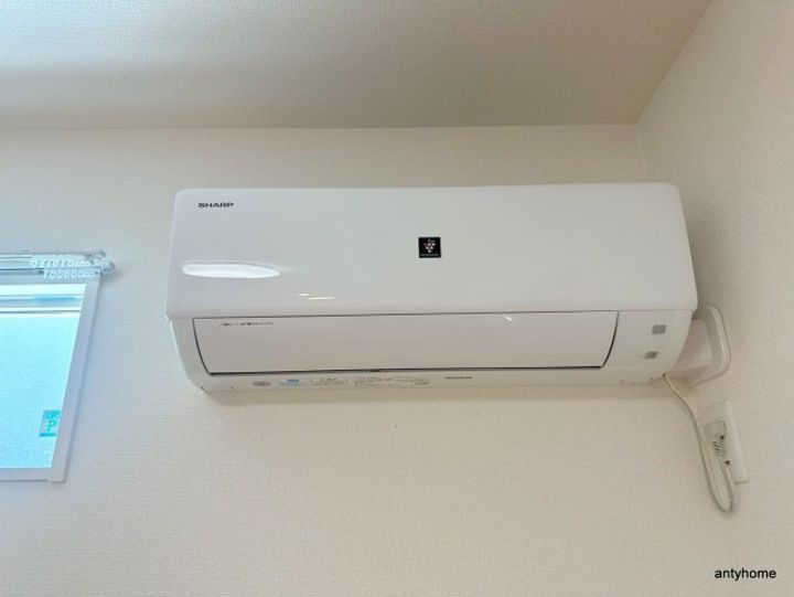 Feliceのその他画像