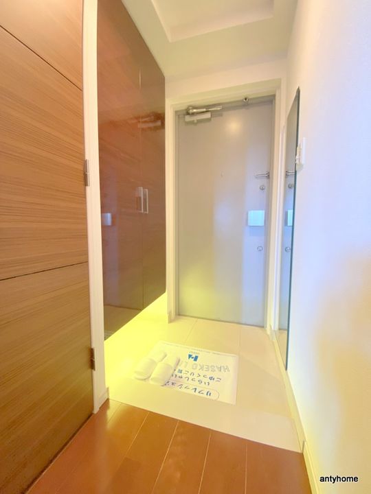 大阪府大阪市中央区日本橋2丁目(マンション)の賃貸物件の玄関