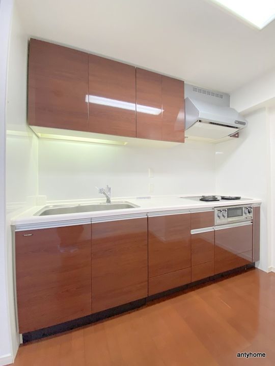 大阪府大阪市中央区日本橋2丁目(マンション)の賃貸物件のキッチン