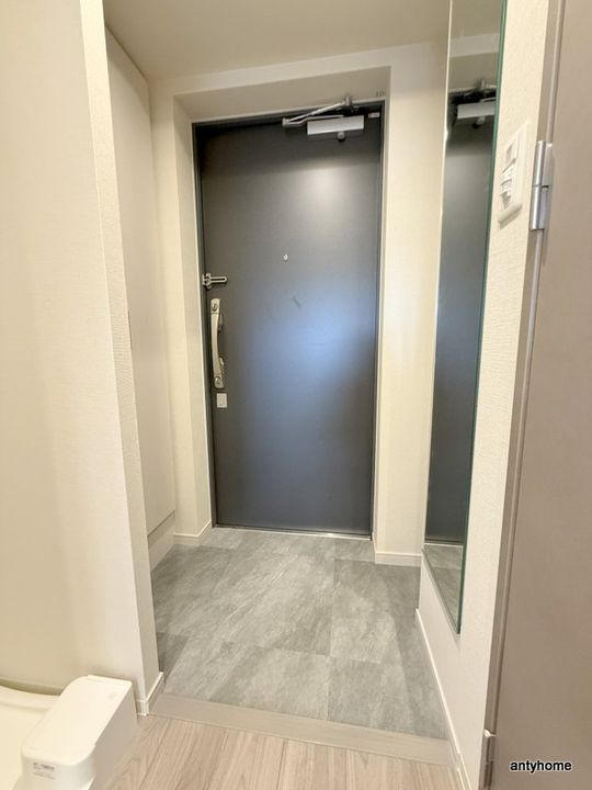 大阪府大阪市東成区東今里2丁目(マンション)の賃貸物件の玄関