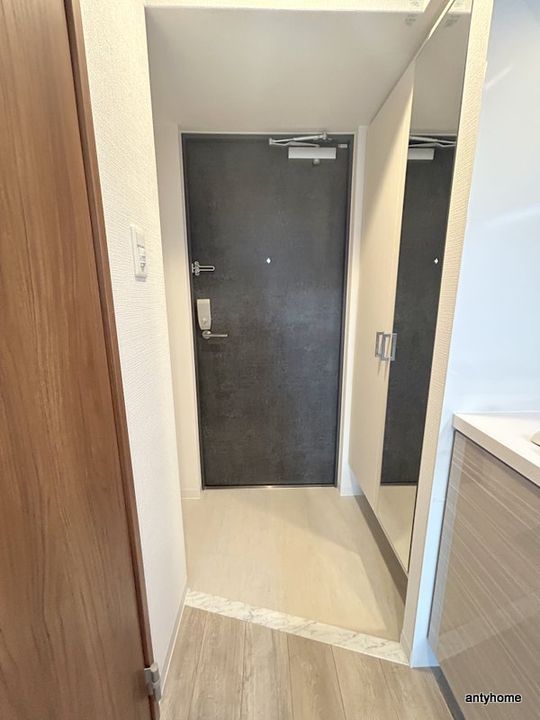 大阪府大阪市浪速区大国3丁目(マンション)の賃貸物件の玄関