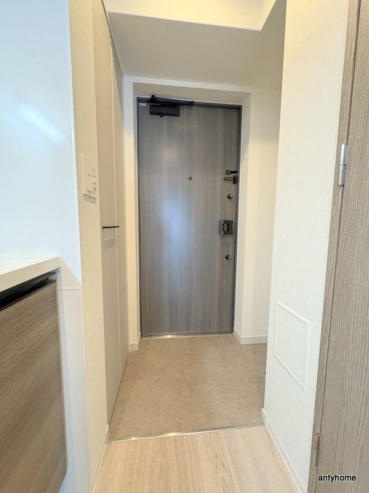 大阪府東大阪市長田西4丁目(マンション)の賃貸物件の玄関