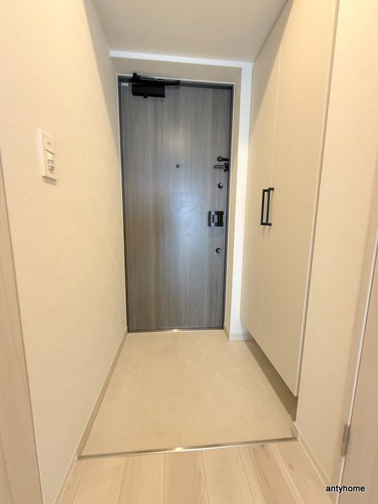 大阪府東大阪市長田西4丁目(マンション)の賃貸物件の玄関