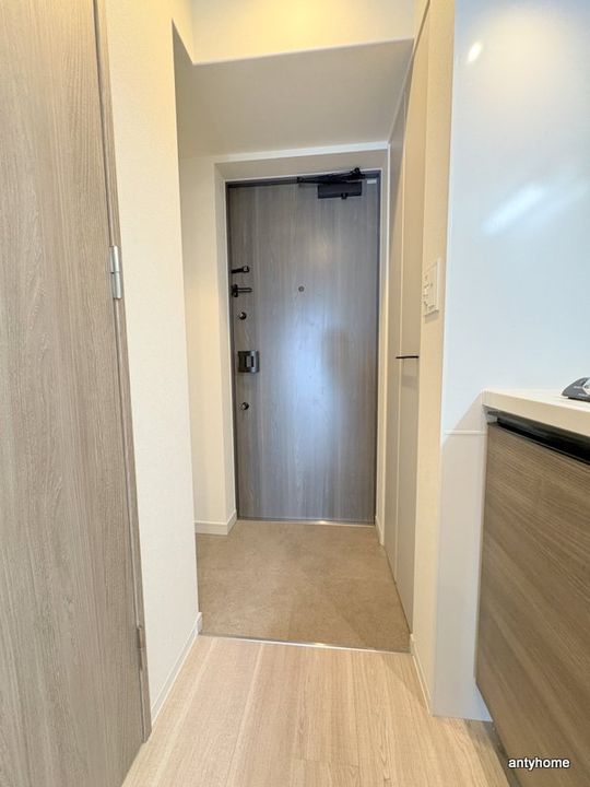 大阪府東大阪市長田西4丁目(マンション)の賃貸物件の玄関