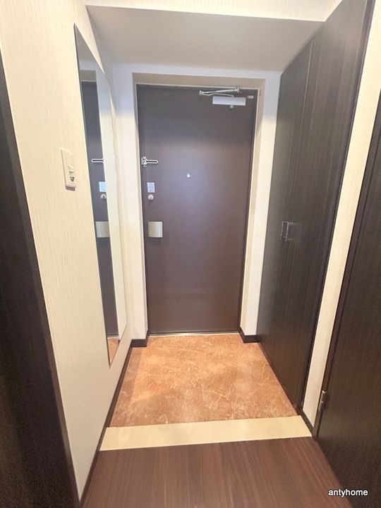 大阪府東大阪市長田中1丁目(マンション)の賃貸物件の玄関