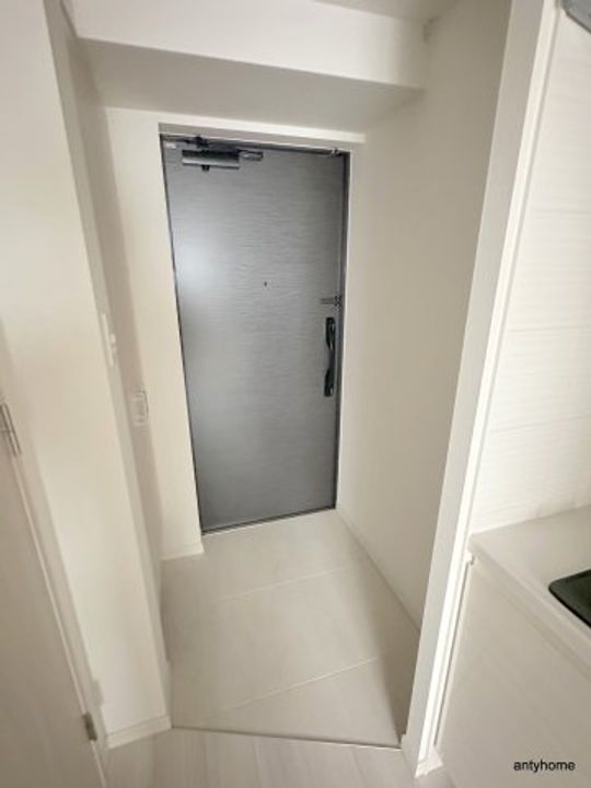 大阪府大阪市浪速区元町3丁目(マンション)の賃貸物件の玄関