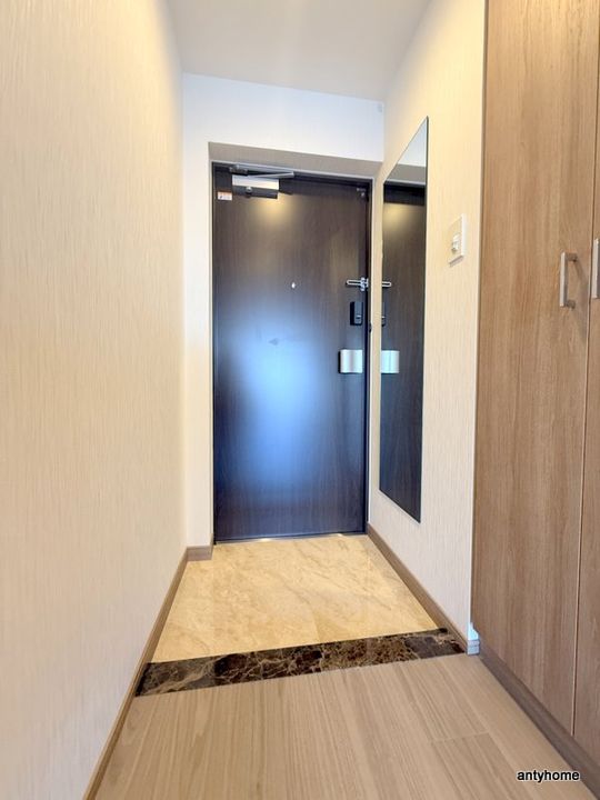 大阪府大阪市淀川区新高2丁目(マンション)の賃貸物件の玄関