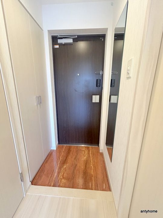 大阪府大阪市淀川区新高2丁目(マンション)の賃貸物件の玄関