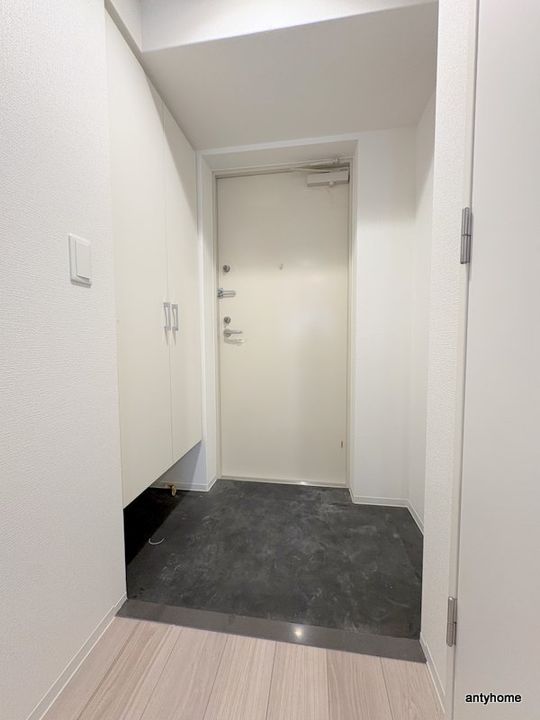 セレニテ南堀江エクラの玄関