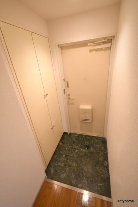 大阪府吹田市江坂町5丁目(マンション)の賃貸物件の玄関