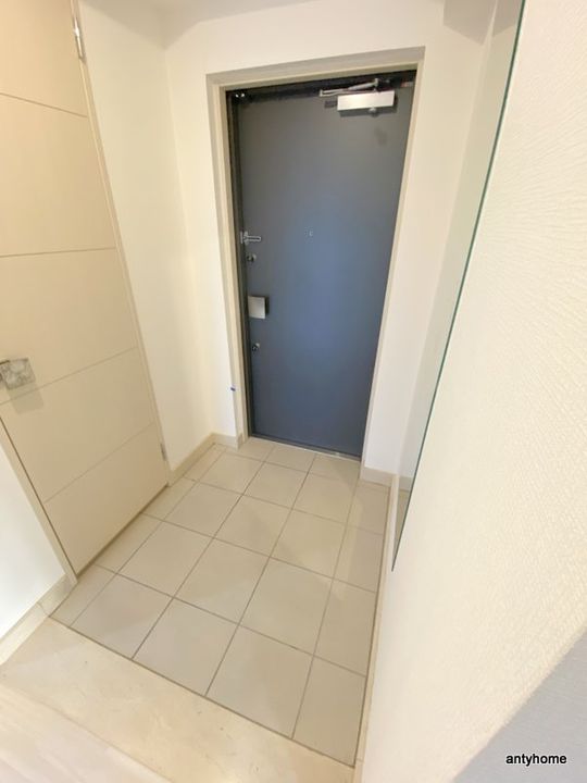 大阪府大阪市中央区高津2丁目(マンション)の賃貸物件の玄関