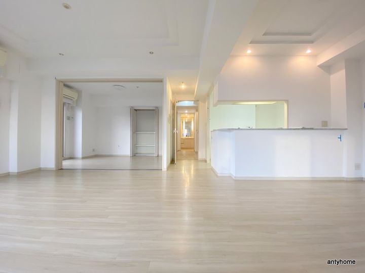 大阪府大阪市中央区高津2丁目(マンション)の賃貸物件の居間