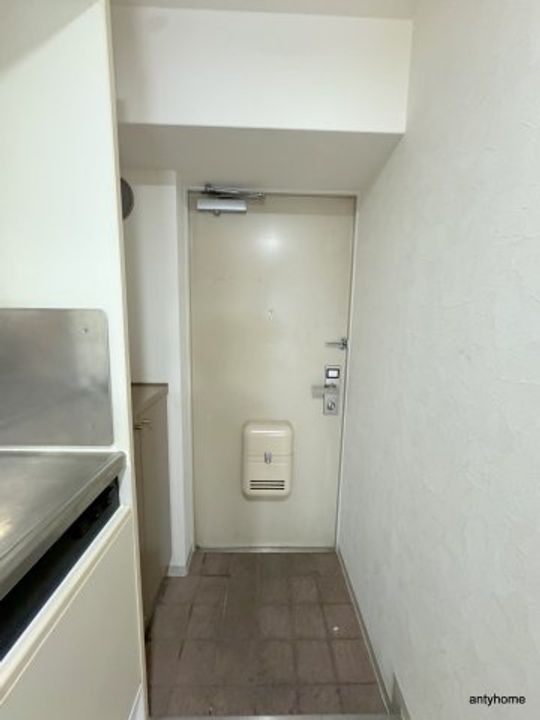 大阪府大阪市淀川区西三国1丁目(マンション)の賃貸物件の玄関