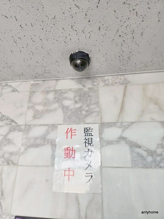 エクセレント上新6のその他画像