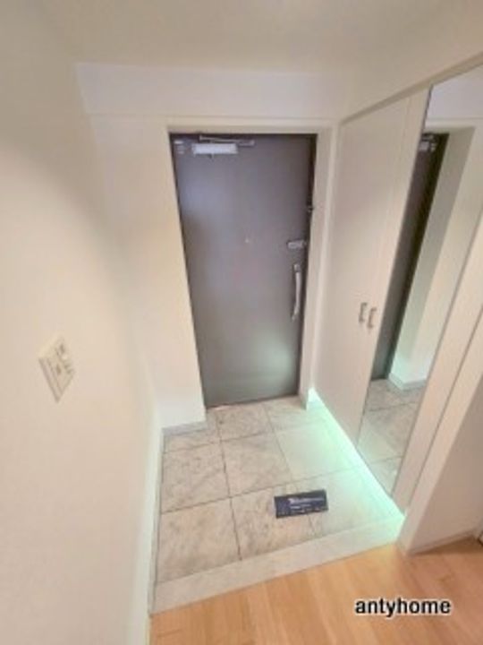 大阪府大阪市東淀川区東中島1丁目(マンション)の賃貸物件の玄関