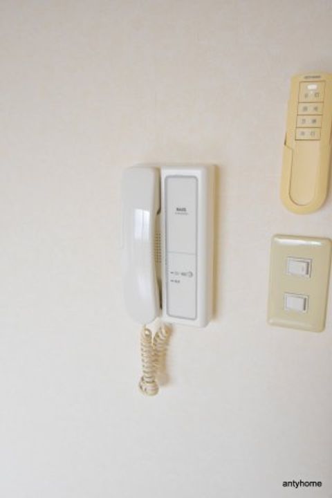 アンプルールフェールドミールのその他画像