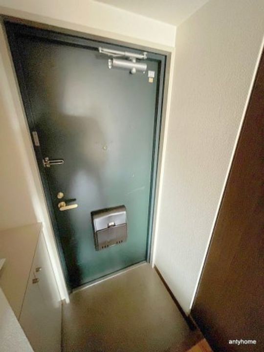 大阪府大阪市淀川区塚本2丁目(マンション)の賃貸物件の玄関