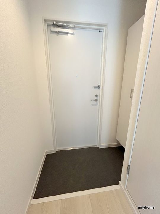 大阪府大阪市東成区玉津3丁目(マンション)の賃貸物件の玄関
