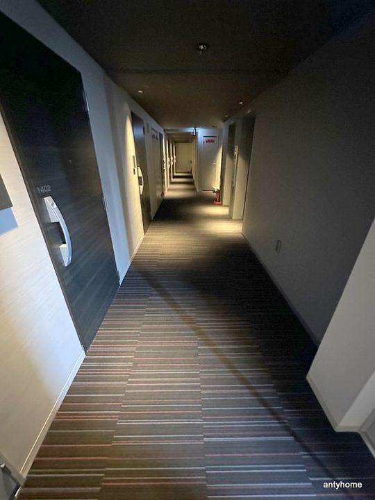 S-RESIDENCE難波Brillerのその他画像