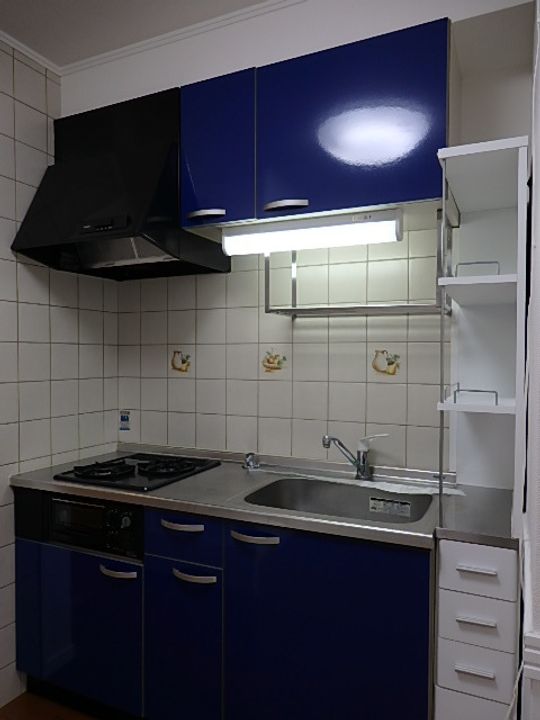 リバーライズ寺田町301のキッチン