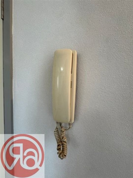 RIGEL弁天のその他画像