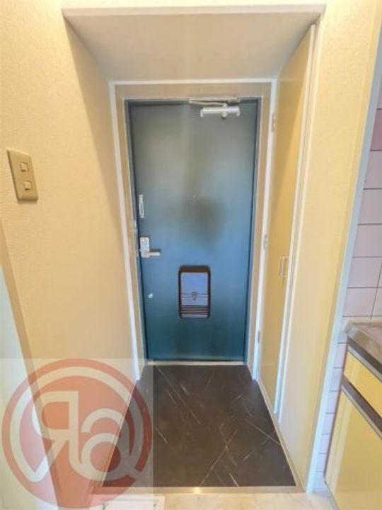 大阪府大阪市西区九条南2丁目(マンション)の賃貸物件の玄関