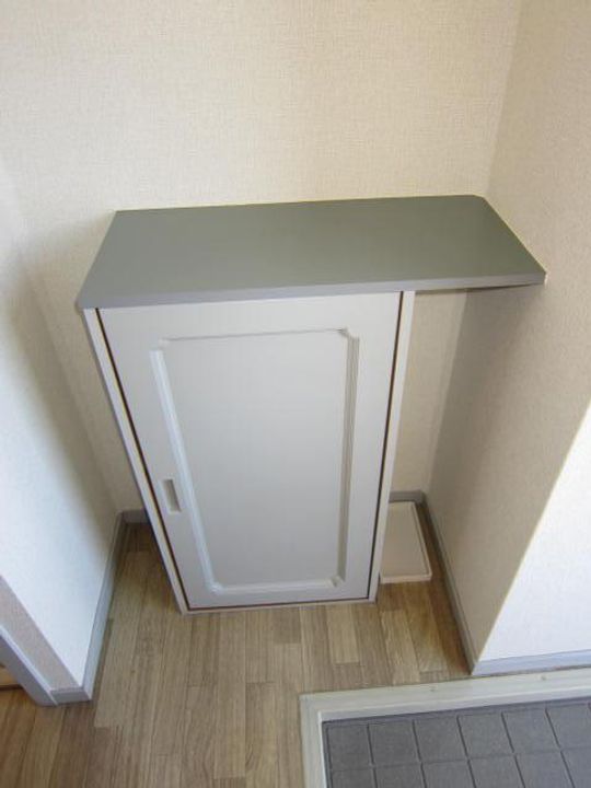 岡山県浅口市金光町占見(アパート)の賃貸物件A202号室の玄関