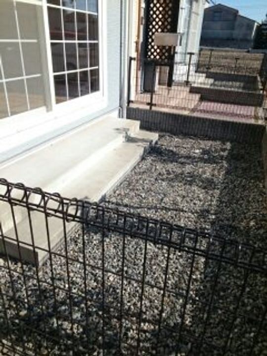 プラスペラティCのその他画像