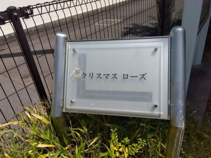 レオパレスクリスマスローズ207のその他画像