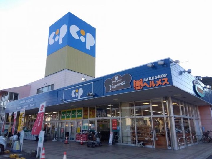 レオパレスクリスマスローズ207の周辺