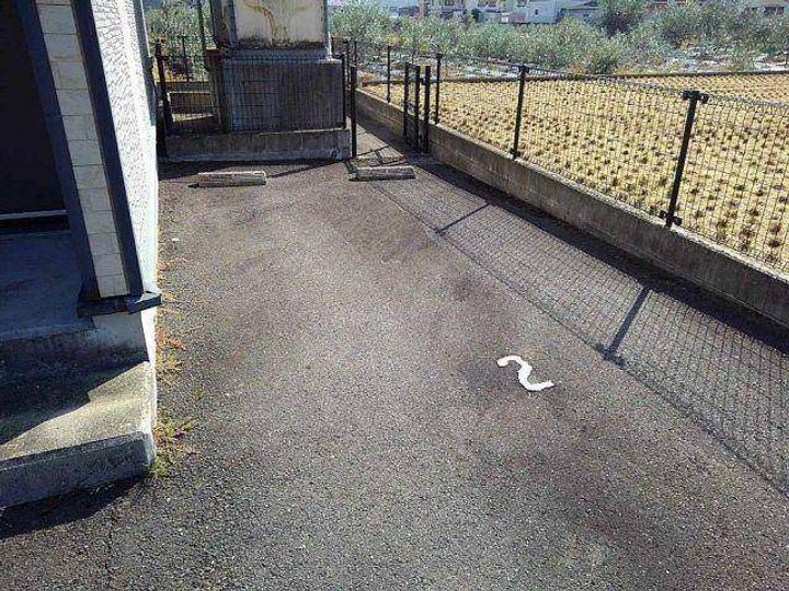 レオパレスYOUTO201のその他画像