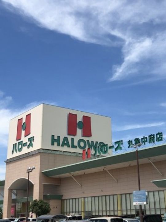 レオパレスフリューゲル202の周辺