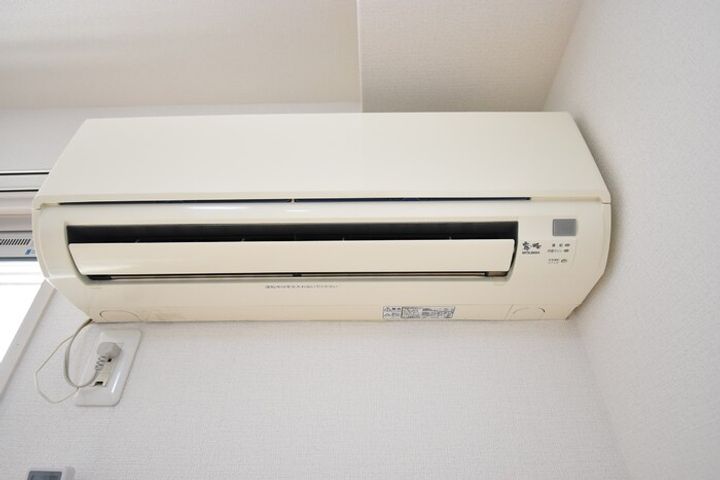プリマヴェーラ・Yのその他画像