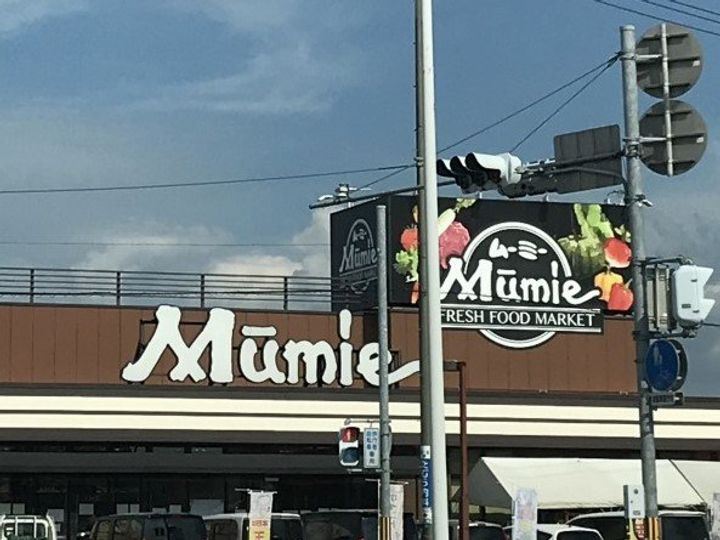 レオパレス向日葵の周辺